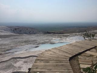 Z ogrodkiem kolo lasu - 0