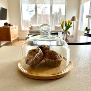 Escape the noise and unwind at the Bluebird Guest House - 2