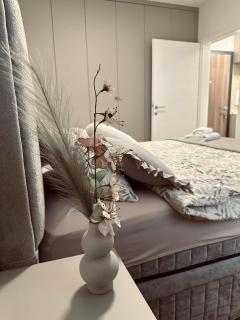 Apartman Blagojević - 1