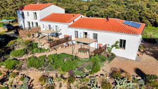 Finca Bravo - 2