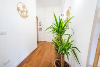 DomusFeboVaticanMuseum - Rome - 9