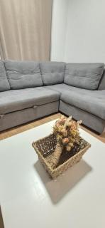 Apartman Sveti Filip i Jakov Magdalena - 8