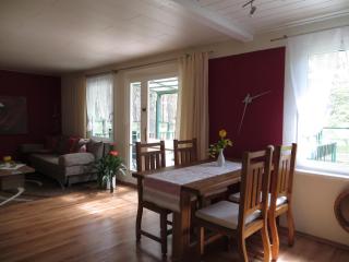Kastavengrund - Ferienhäuser mit Kamin - Lychen - 4