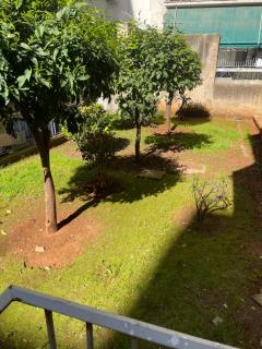 Quiet Garden Studio - 1
