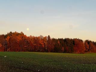 Privathaus Sieglinde - 2
