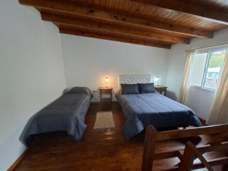 El Viejo Lepi Aparts, a 2 cuadras del centro - 8