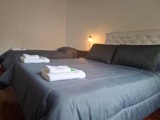 El Viejo Lepi Aparts, a 2 cuadras del centro - 7