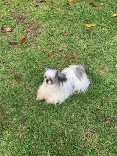 Camping La Lupita - 6