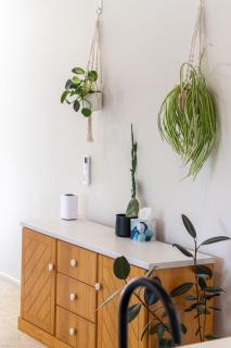 Family-Friendly Riccarton Stay plus Garage - 3