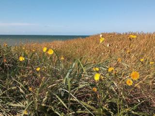 Cozy Beach House Retreat - By Traum Ferienwohnungen - 6