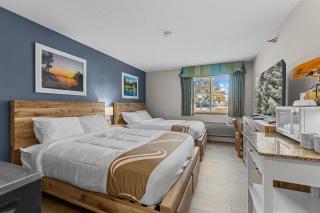 2 Queen bed room 5 minutes from Gull Lake - 7