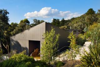 Banjo Treehouse - Hepburn Springs - 2