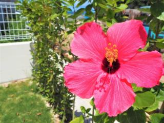 OＨＡＹＯ ＨＯＵＳＥ - 4