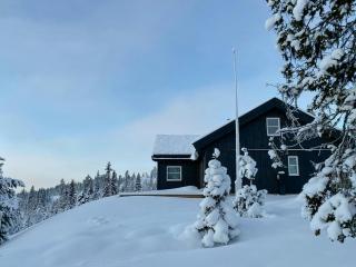 Mountain Cabin With Stunning Views In Aurdalsåsen - 0