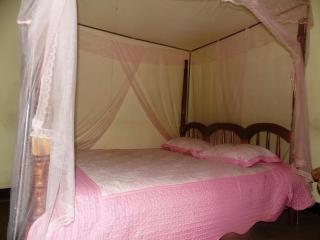 Vine Inn - Mbarara - 0