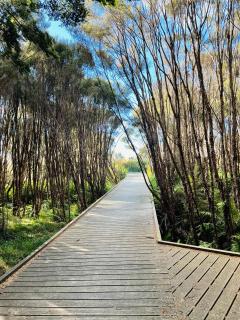 Tongariro Suites - 5