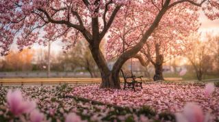 Strathaird Bed and Breakfast - 8