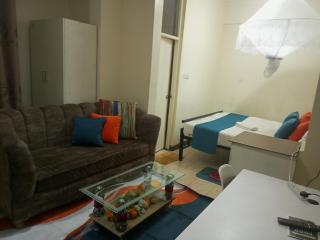 Golden Crest suite with Rooftop Pool - 4