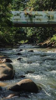 Rimbara Janda Baik - 8