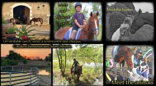 Le Relais de La Jemaye, à côté du Grand étang de la Jemaye! - 1