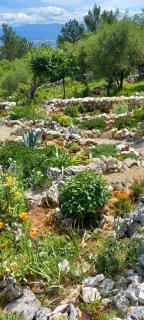 Apartment Sunrise, Polje - otok Krk - 3