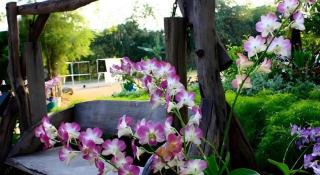 The Great Hotel & Resort - 7