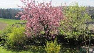 Pension Maria Wallner - Bad Gams - 5