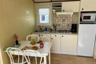 MOBILE HOME 2 au bord du lac, pêche gratuite sans permis - 1