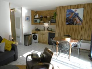 Appartement 2 à 4 personnes à 50 m de l'océan WIFI MERLIN - 2