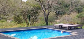Khangela Private Game Lodge - Self Catering - Bedrooms Three-Private Chalets - Hluhluwe - Hluhluwe - 6