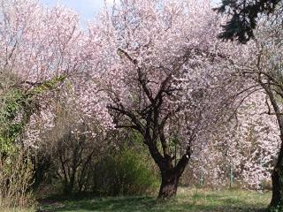 Baglyos Vendégház Kulcs - 9