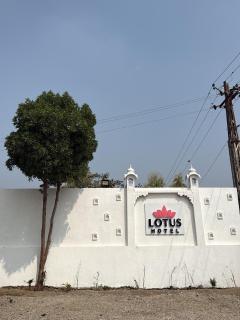 Lotus hotel - 8