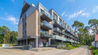 Morzlive, Sun & Snow - 2