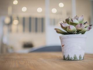 Estudio en zona centro de Granada - 7