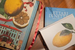 Citrus, between Etna and the Sea - Acireale - 3