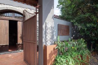 Citrus, between Etna and the Sea - Acireale - 8