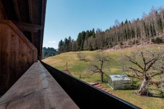 Alpen Loft-Studio nähe Golfplatz mit Waldblick - 7