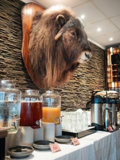 Hotel Kangerlussuaq - Airport - Albatros Arctic Circle - 5