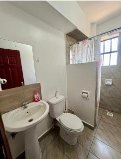 Jojo homes executive one bedroom ruaka - 1