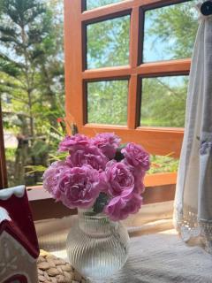 Sonne resort ซอนเนอ รีสอร์ต - 4