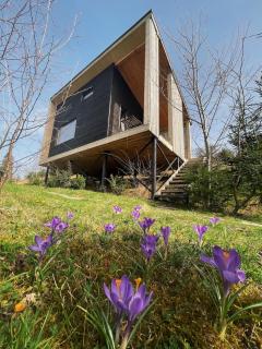 Miko II - Slawske - 4