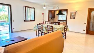 Relax among the olive trees and the sea - 0