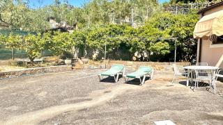 Relax among the olive trees and the sea - 6