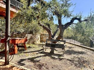 Relax among the olive trees and the sea - 5