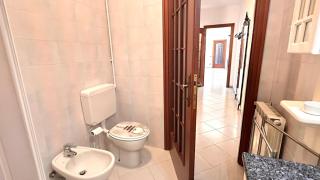 Relax among the olive trees and the sea - Serreta - 6
