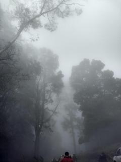 Thendral Resort - 5 Bedroom Villa with Private Pool & Party Hall - 2