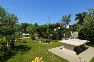 Studio in Pjescana Uvala/Istrien 11166 - Pješčana Uvala - 1