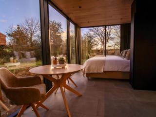 Stylish Mirrored Cabin with Hot Tub & Sauna - 8