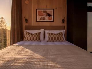 Luxury Mirrored Cabin with Sauna & Plunge Pool - 7