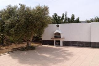 El Rincón del Olivo - 1